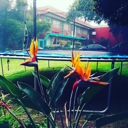 Hotel Las Fumarolas De Don Goyo Cholula Luaran gambar